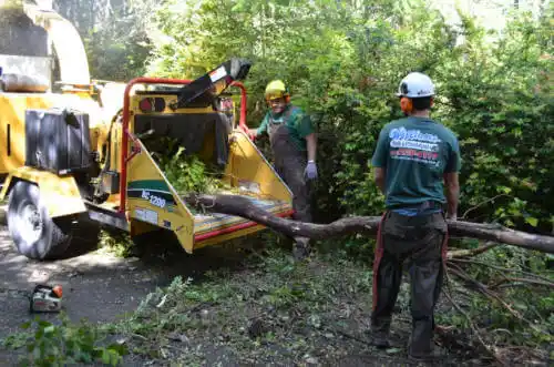 tree services Long Creek